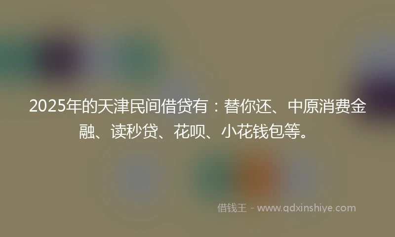 2025年的天津民间借贷有：替你还、中原消费金融、读秒贷、花呗、小花钱包等。