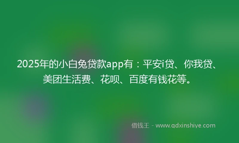 2025年的小白兔贷款app有：平安i贷、你我贷、美团生活费、花呗、百度有钱花等。