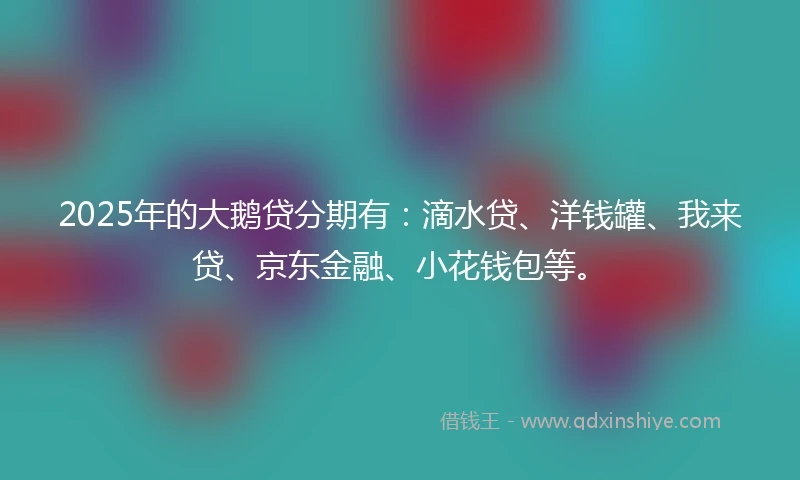 2025年的大鹅贷分期有：滴水贷、洋钱罐、我来贷、京东金融、小花钱包等。
