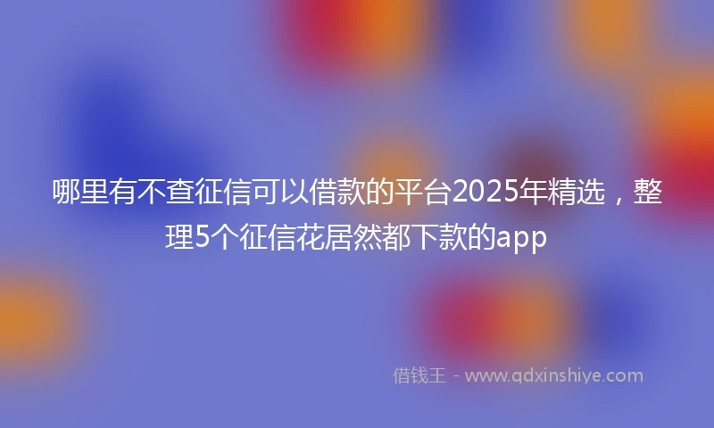 哪里有不查征信可以借款的平台2025年精选，整理5个征信花居然都下款的app