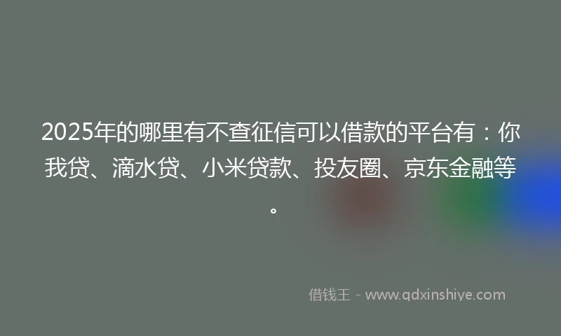 2025年的哪里有不查征信可以借款的平台有：你我贷、滴水贷、小米贷款、投友圈、京东金融等。