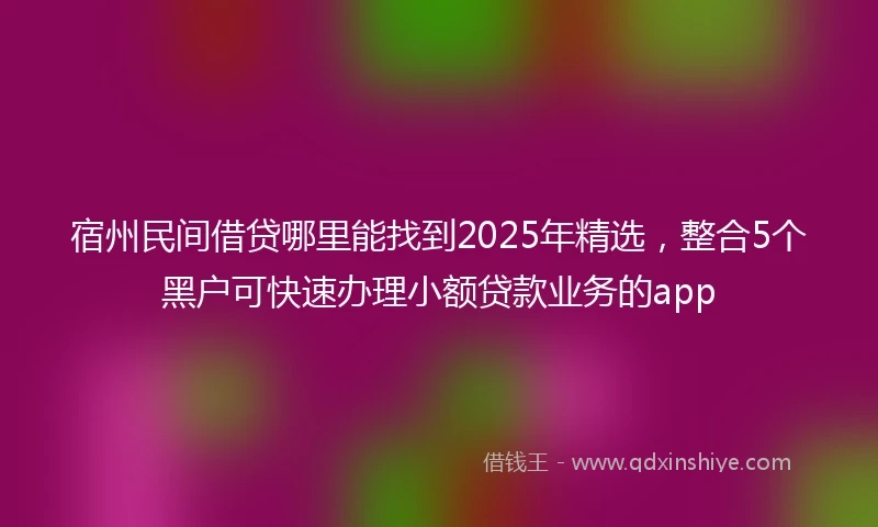 宿州民间借贷哪里能找到2025年精选，整合5个黑户可快速办理小额贷款业务的app
