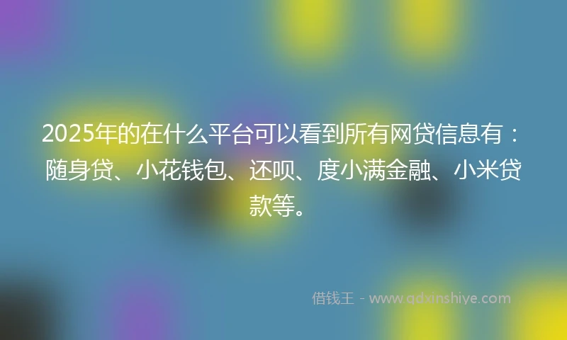 2025年的在什么平台可以看到所有网贷信息有：随身贷、小花钱包、还呗、度小满金融、小米贷款等。