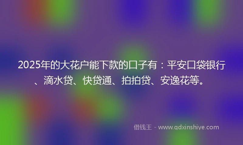 2025年的大花户能下款的口子有：平安口袋银行、滴水贷、快贷通、拍拍贷、安逸花等。