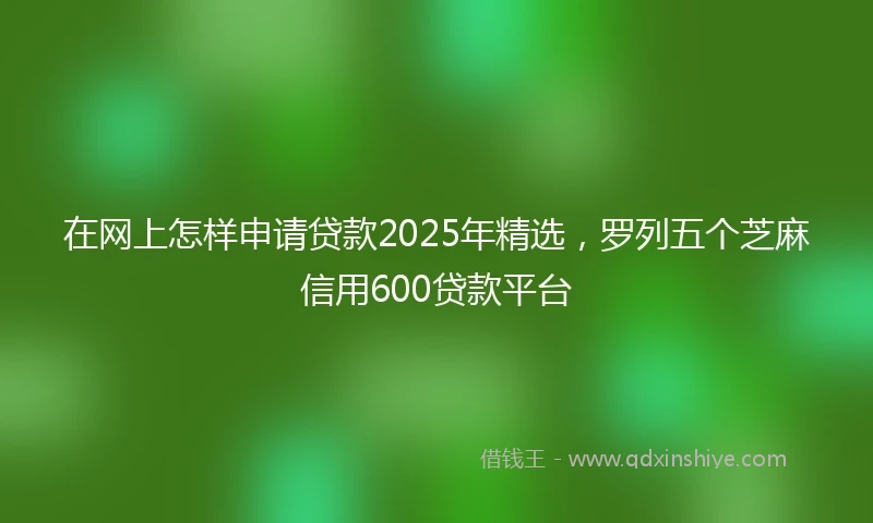 在网上怎样申请贷款2025年精选，罗列五个芝麻信用600贷款平台
