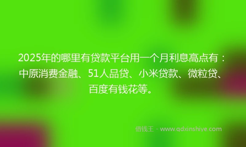 2025年的哪里有贷款平台用一个月利息高点有：中原消费金融、51人品贷、小米贷款、微粒贷、百度有钱花等。