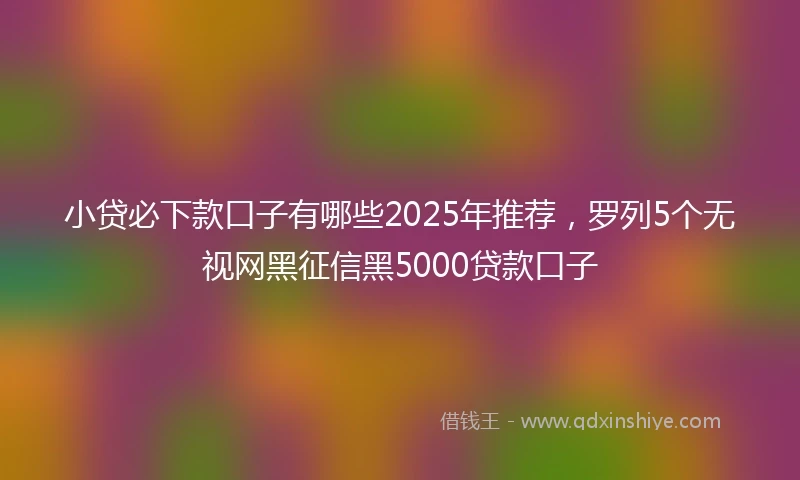 小贷必下款口子有哪些2025年推荐，罗列5个无视网黑征信黑5000贷款口子