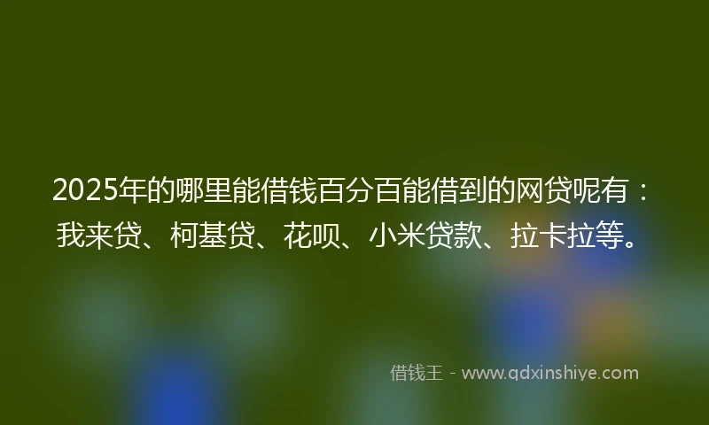 2025年的哪里能借钱百分百能借到的网贷呢有：我来贷、柯基贷、花呗、小米贷款、拉卡拉等。