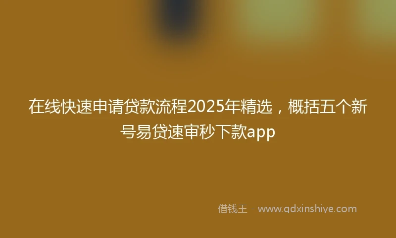 在线快速申请贷款流程2025年精选，概括五个新号易贷速审秒下款app
