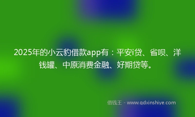 2025年的小云豹借款app有：平安i贷、省呗、洋钱罐、中原消费金融、好期贷等。
