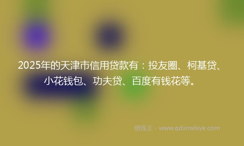 2025年的天津市信用贷款有:投友圈、柯基贷、小花钱包、功夫贷、百度有钱花等。