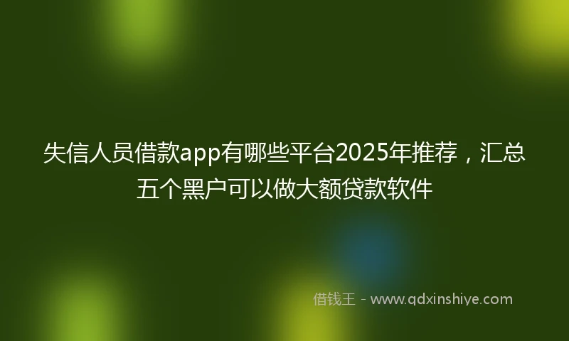 失信人员借款app有哪些平台2025年推荐，汇总五个黑户可以做大额贷款软件