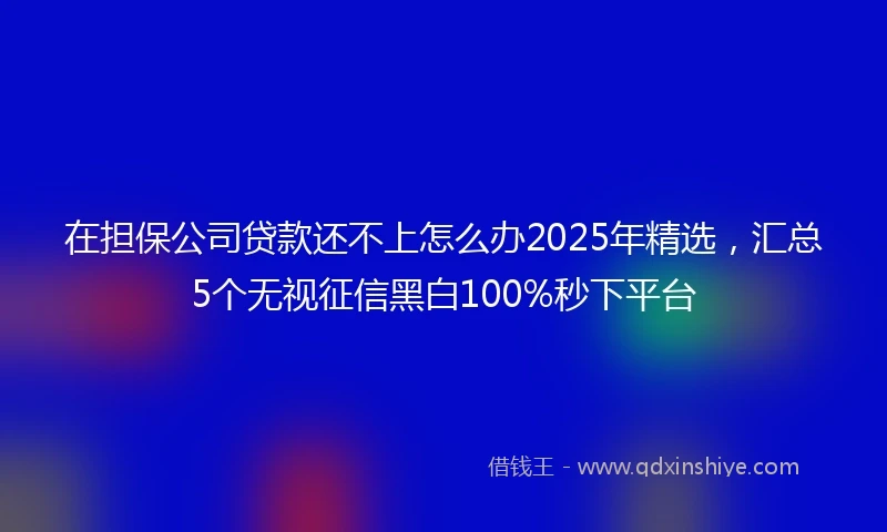 在担保公司贷款还不上怎么办2025年精选，汇总5个无视征信黑白100%秒下平台