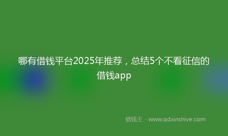 哪有借钱平台2025年推荐，总结5个不看征信的借钱app