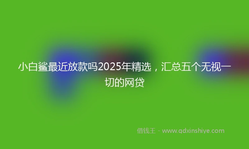 小白鲨最近放款吗2025年精选，汇总五个无视一切的网贷