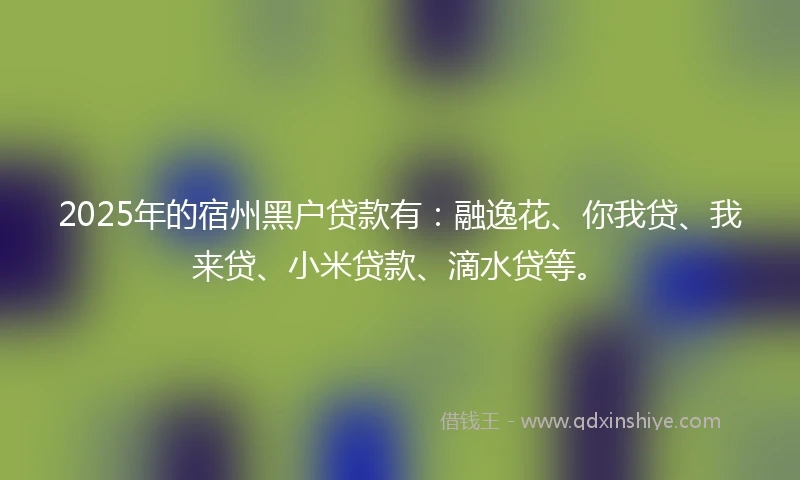 2025年的宿州黑户贷款有：融逸花、你我贷、我来贷、小米贷款、滴水贷等。