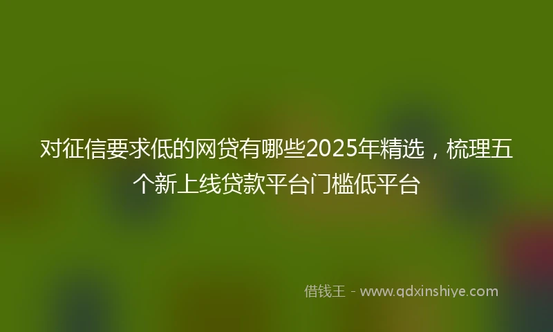 对征信要求低的网贷有哪些2025年精选，梳理五个新上线贷款平台门槛低平台