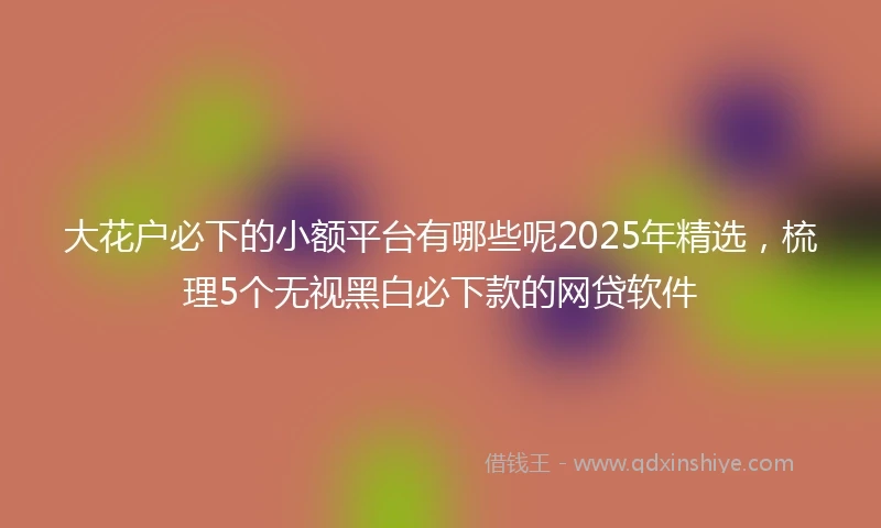 大花户必下的小额平台有哪些呢2025年精选，梳理5个无视黑白必下款的网贷软件