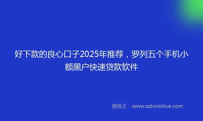 好下款的良心口子2025年推荐,罗列五个手机小额黑户快速贷款软件
