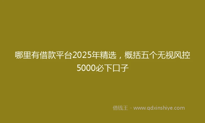 哪里有借款平台2025年精选,概括五个无视风控5000必下口子