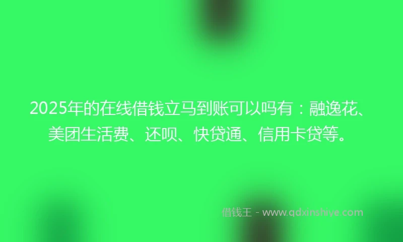 2025年的在线借钱立马到账可以吗有：融逸花、美团生活费、还呗、快贷通、信用卡贷等。