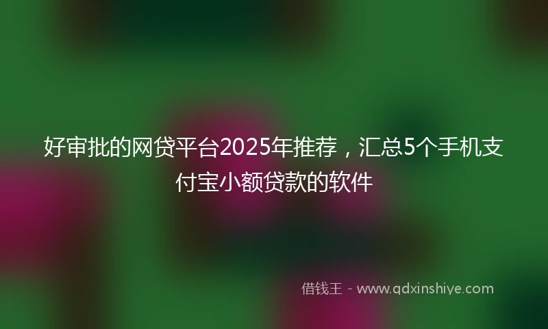好审批的网贷平台2025年推荐，汇总5个手机支付宝小额贷款的软件