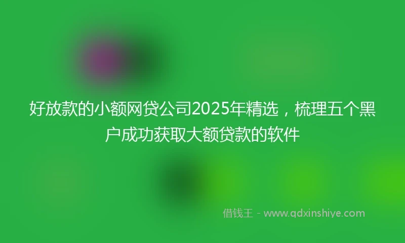 好放款的小额网贷公司2025年精选，梳理五个黑户成功获取大额贷款的软件