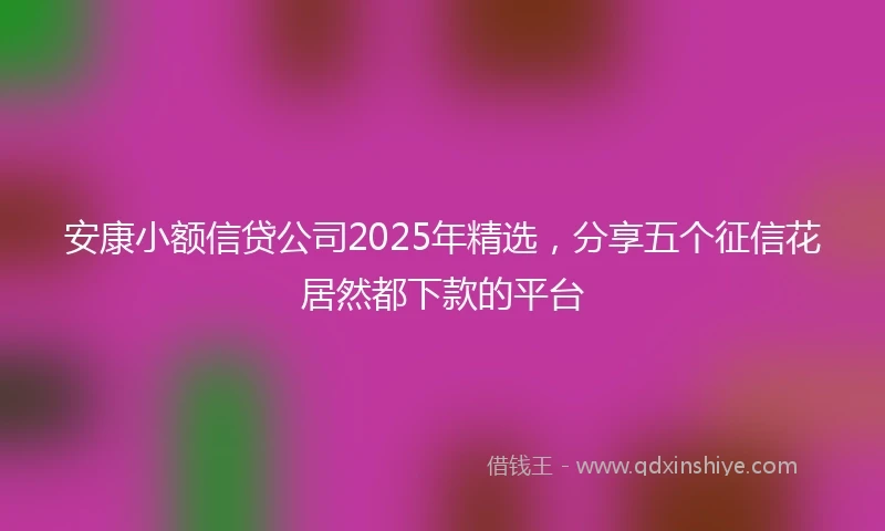 安康小额信贷公司2025年精选，分享五个征信花居然都下款的平台