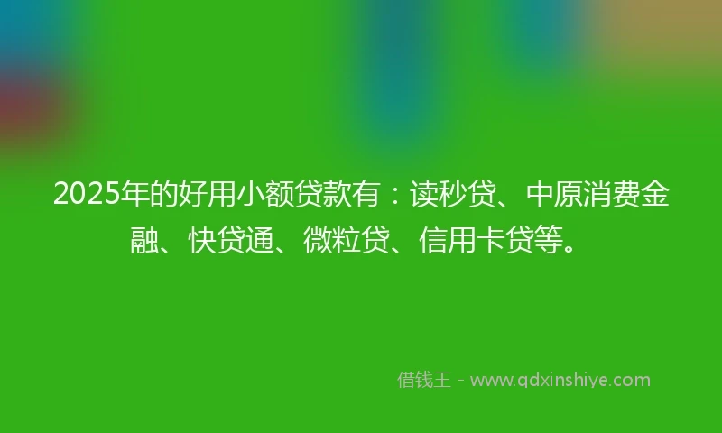 2025年的好用小额贷款有：读秒贷、中原消费金融、快贷通、微粒贷、信用卡贷等。