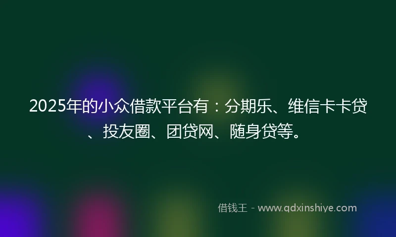 2025年的小众借款平台有：分期乐、维信卡卡贷、投友圈、团贷网、随身贷等。