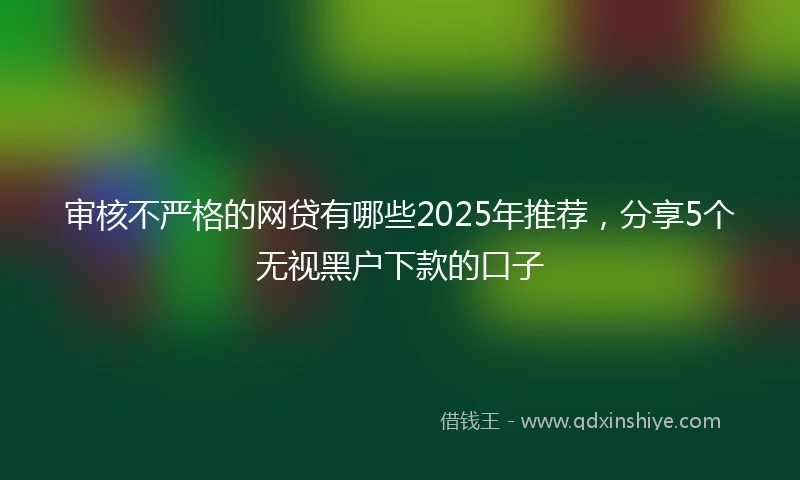 审核不严格的网贷有哪些2025年推荐，分享5个无视黑户下款的口子