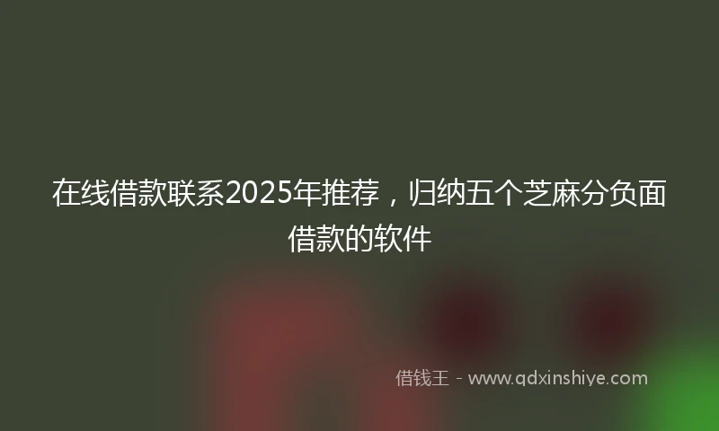 在线借款联系2025年推荐，归纳五个芝麻分负面借款的软件