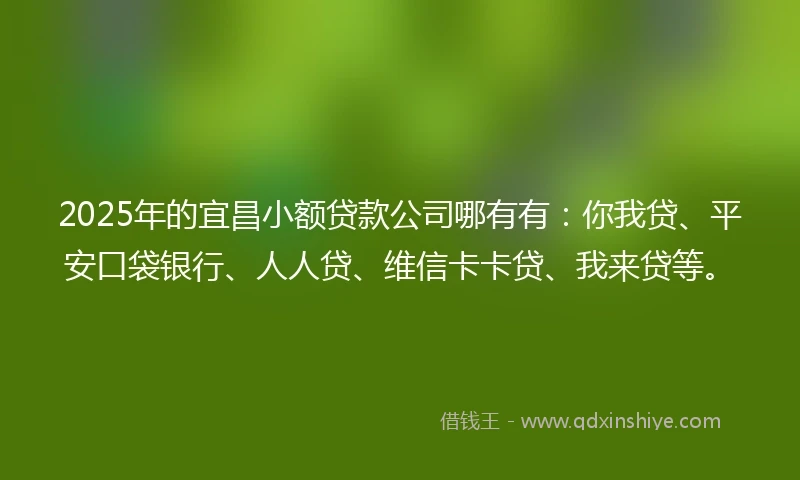 2025年的宜昌小额贷款公司哪有有：你我贷、平安口袋银行、人人贷、维信卡卡贷、我来贷等。