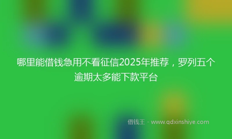 哪里能借钱急用不看征信2025年推荐，罗列五个逾期太多能下款平台