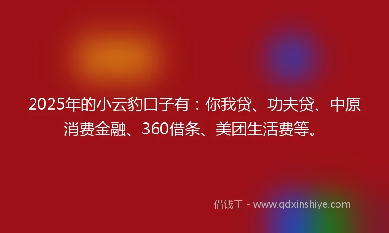 2025年的小云豹口子有：你我贷、功夫贷、中原消费金融、360借条、美团生活费等。