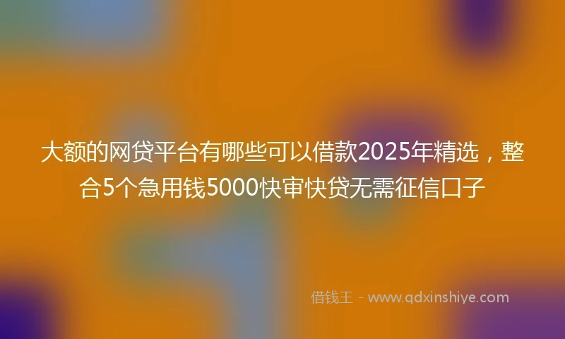 大额的网贷平台有哪些可以借款2025年精选，整合5个急用钱5000快审快贷无需征信口子