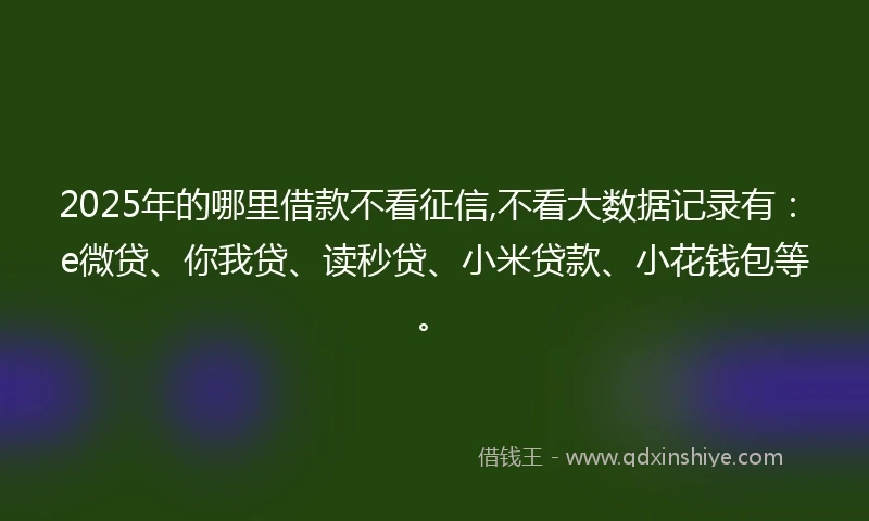 2025年的哪里借款不看征信,不看大数据记录有：e微贷、你我贷、读秒贷、小米贷款、小花钱包等。