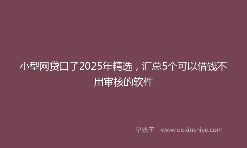 小型网贷口子2025年精选，汇总5个可以借钱不用审核的软件