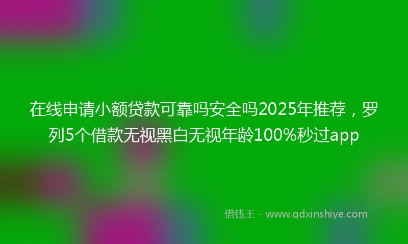 在线申请小额贷款可靠吗安全吗2025年推荐，罗列5个借款无视黑白无视年龄100%秒过app