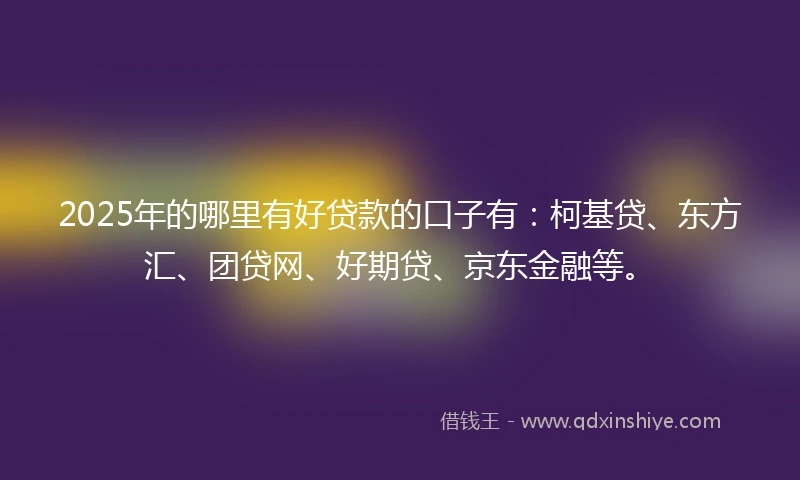 2025年的哪里有好贷款的口子有：柯基贷、东方汇、团贷网、好期贷、京东金融等。