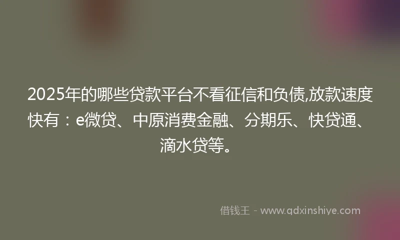 2025年的哪些贷款平台不看征信和负债,放款速度快有：e微贷、中原消费金融、分期乐、快贷通、滴水贷等。