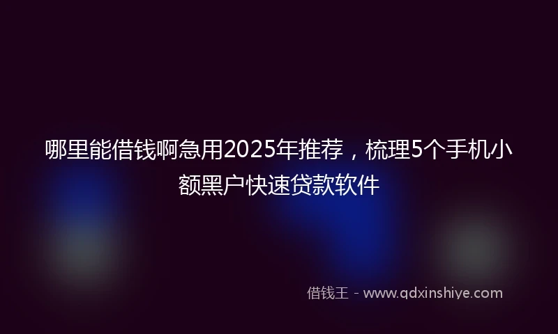 哪里能借钱啊急用2025年推荐，梳理5个手机小额黑户快速贷款软件