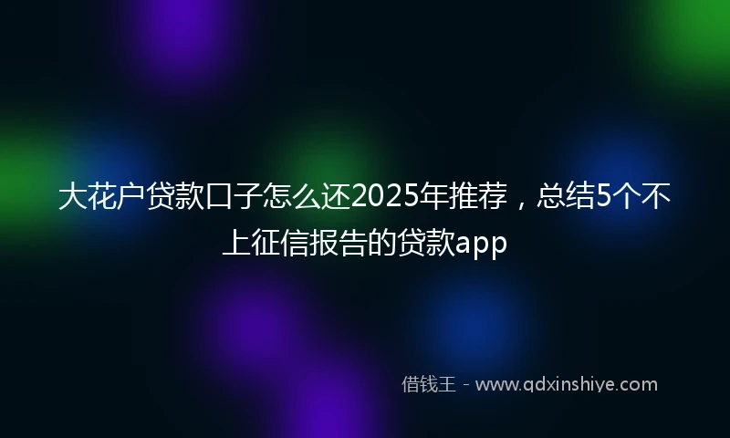 大花户贷款口子怎么还2025年推荐，总结5个不上征信报告的贷款app