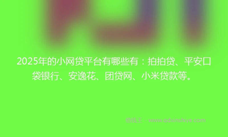 2025年的小网贷平台有哪些有：拍拍贷、平安口袋银行、安逸花、团贷网、小米贷款等。