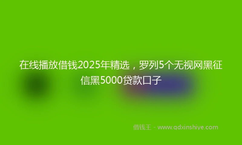在线播放借钱2025年精选，罗列5个无视网黑征信黑5000贷款口子