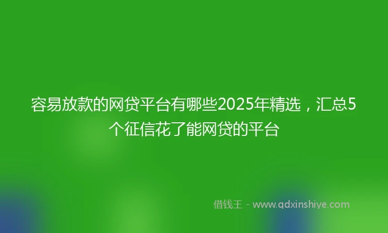 容易放款的网贷平台有哪些2025年精选，汇总5个征信花了能网贷的平台