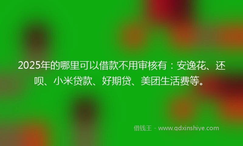 2025年的哪里可以借款不用审核有：安逸花、还呗、小米贷款、好期贷、美团生活费等。