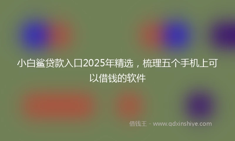 小白鲨贷款入口2025年精选，梳理五个手机上可以借钱的软件