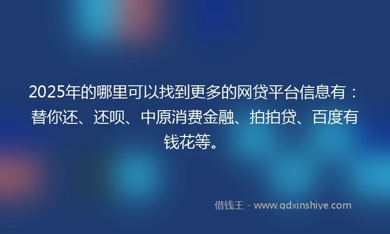 2025年的哪里可以找到更多的网贷平台信息有：替你还、还呗、中原消费金融、拍拍贷、百度有钱花等。