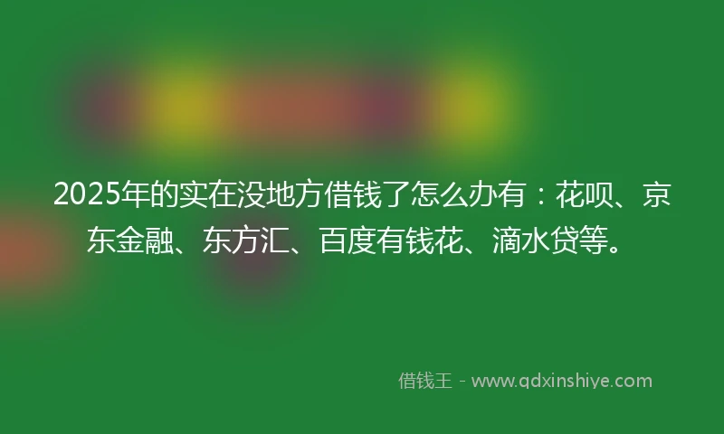 2025年的实在没地方借钱了怎么办有：花呗、京东金融、东方汇、百度有钱花、滴水贷等。
